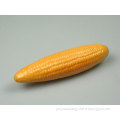 Corn Model